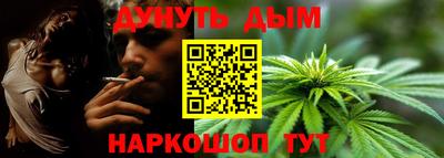 гидра Краснокаменск
