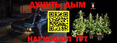 гидра Краснокаменск